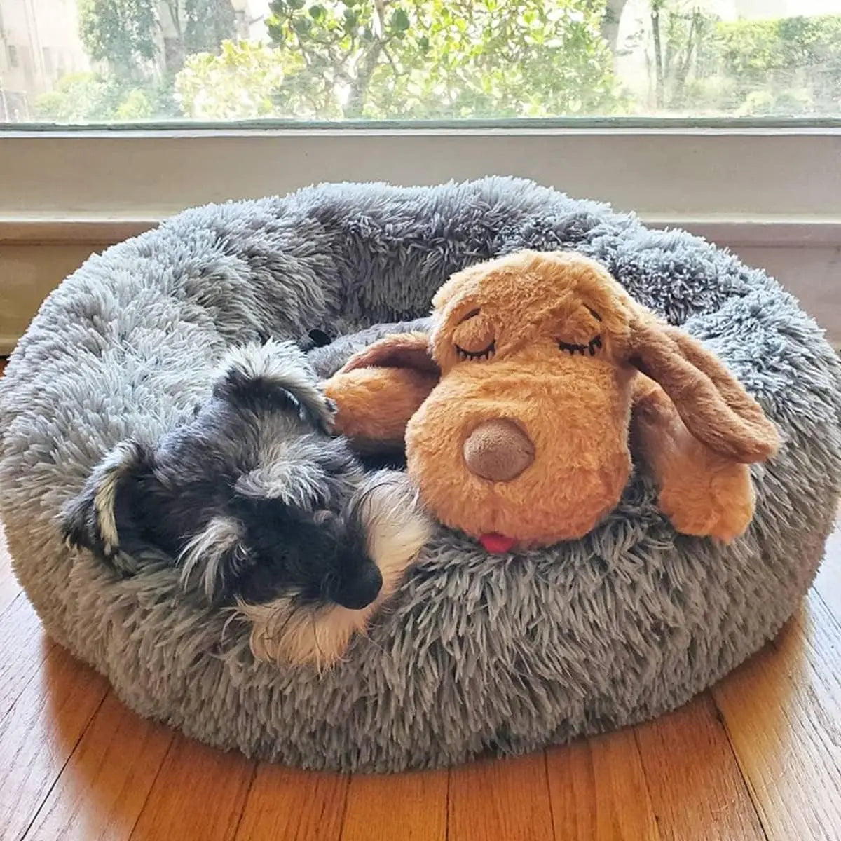 Anxiety Relief Starter Kit: Adorable Biscuit-Colored Puppy & Fun Pink Toy!.
