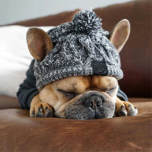 Winter Windproof Knitted Dog Hats  Ideal for French Bulldogs and Chihuahuas.