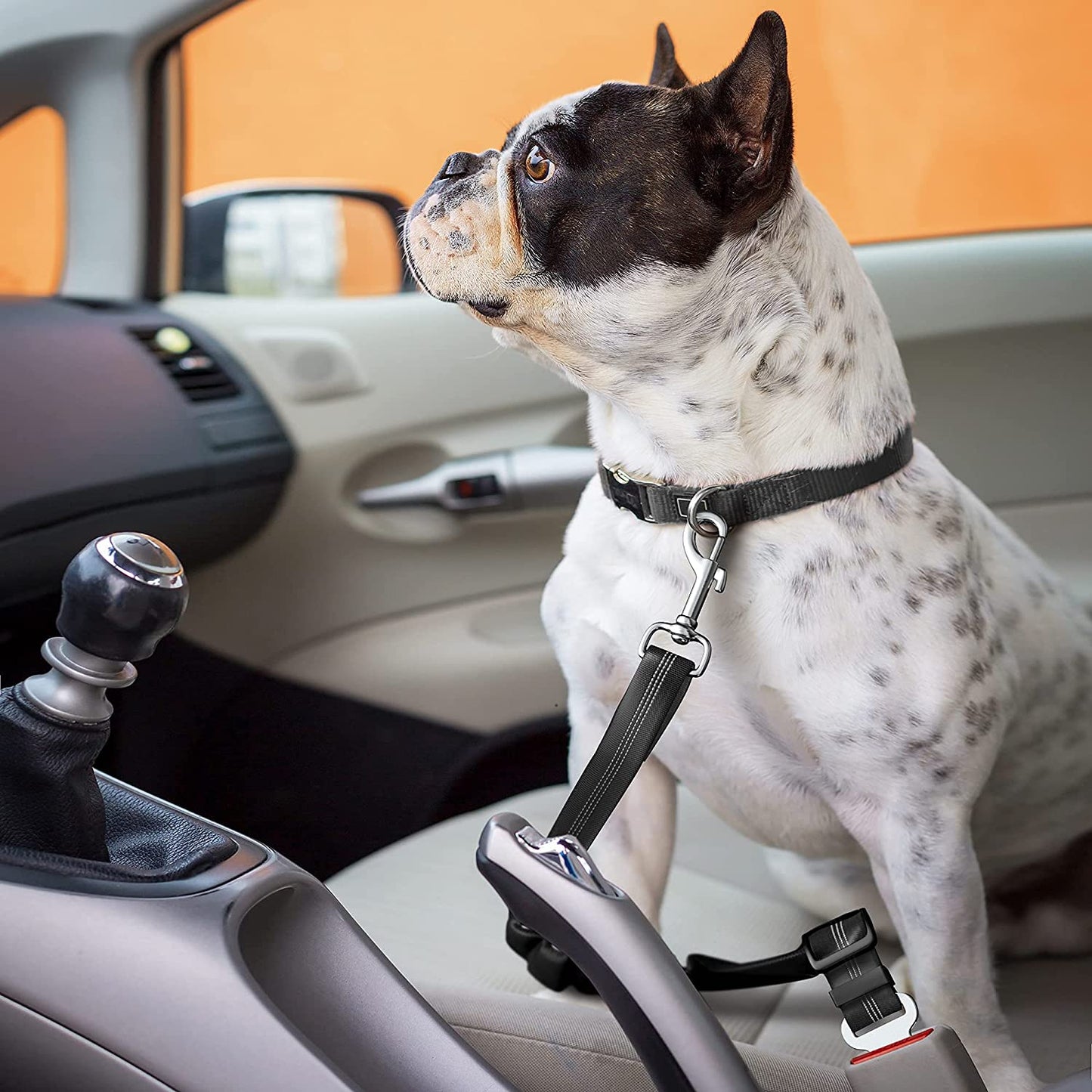 Dog Seat Belt with Elastic Bungee Buffer | Adjustable Car Travel Accessory.