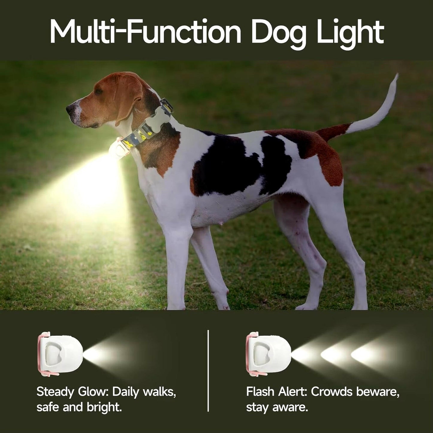 Night Walking Lovely Social Projector LED Dog Collar.