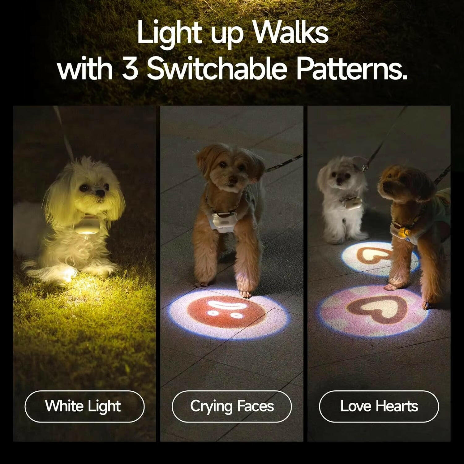 Night Walking Lovely Social Projector LED Dog Collar.