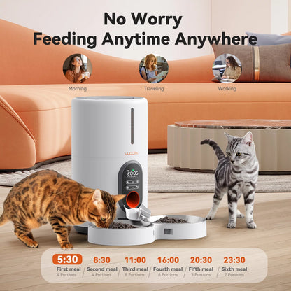 Automatic 4 L Dual Bowl Feeder with Voice Recording for Small Pets.