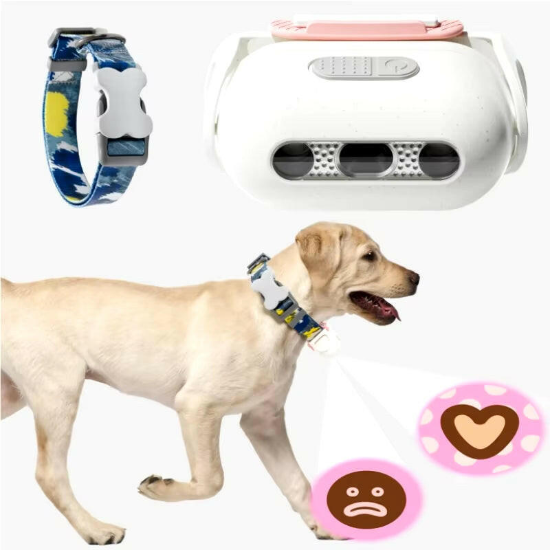 Night Walking Lovely Social Projector LED Dog Collar.