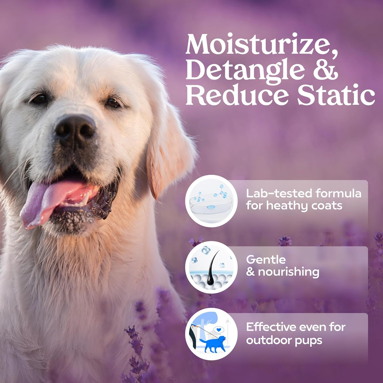 Lavender Dog Deodorizing and Grooming Spray - Long-Lasting Cologne for Dogs.